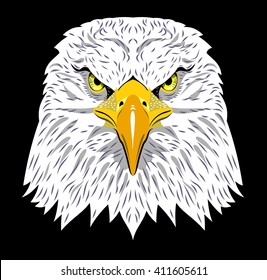 Portrait of an eagle