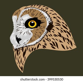 Portrait of an eagle owl