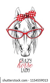 Portrait of a elegant horse in a red polka dot headband and in a glasses. Crazy horse lady - lettering quote. Poster, t-shirt composition, handmade print. Vector illustration.