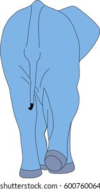 Portrait of an elephant in etosha national park, hand drawn vector illustration isolated on white background
