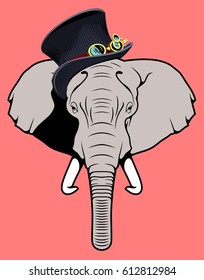 Portrait of an elephant in a male hat cylinder