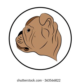 Portrait of an English bulldog dog color, vector illustration