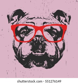 Portrait of English Bulldog with glasses. Hand drawn illustration. Vector.