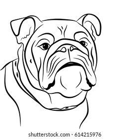 Portrait of an English bulldog painted in black lines