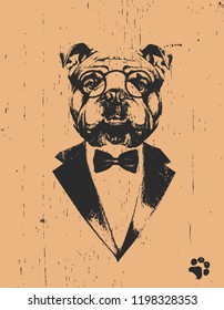 Portrait English Bulldog Suit Handdrawn Illustration Stock Vector ...