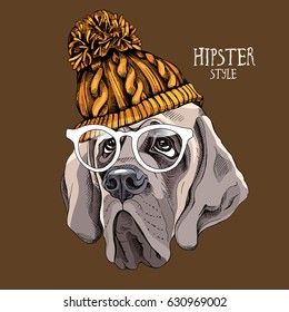 Portrait of a English Mastiff dog in a Knitted hipster hat and  in a glasses. Vector illustration.