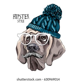 Portrait of a English Mastiff dog in a Knitted hipster hat, in a glasses and with mustache. Vector illustration.