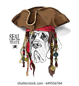 Portrait of a English Mastiff in Pirate hat, bandana and with a dreadlocks. Vector illustration.