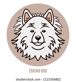 Portrait of Eskimo Dog