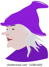 Portrait of an evil witch in a hat, vector illustration