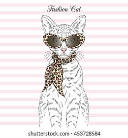 portrait of fahion cat girl in sunglasses and scarf, hand drawn animal illustration