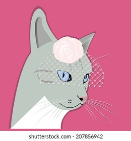 Portrait of fashion lady-cat in a hat with a rose and veil