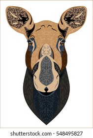 Portrait of a female elk