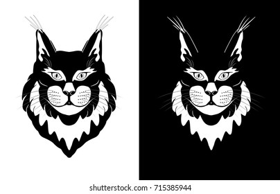 Portrait of fluffy black and white cat or lynx - vector