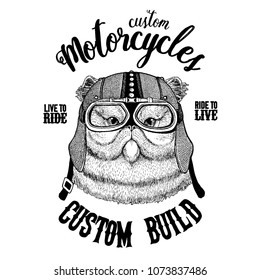 Portrait of fluffy persian cat Biker, motorcycle animal. Hand drawn image for tattoo, emblem, badge, logo, patch, t-shirt