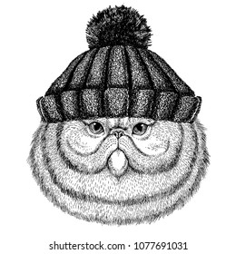 Portrait of fluffy persian cat Cool animal wearing knitted winter hat. Warm headdress beanie Christmas cap for tattoo, t-shirt, emblem, badge, logo, patch