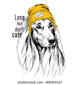 Portrait of Fold dog in a yellow Hipster hat. Vector illustration.