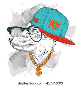 Portrait of fox in hip-hop hat. Vector illustration.