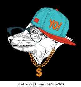 Portrait of fox in hip-hop hat. Vector illustration.