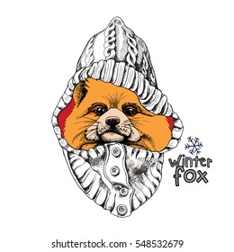 Portrait of Fox in a knitted hood. Vector illustration.
