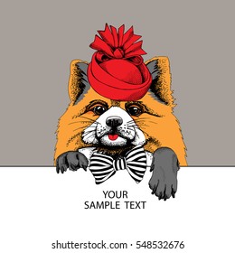 Portrait of Fox in a ladies hat with a tie. Vector illustration.