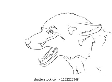 portrait of a fox, lines, vector, white background