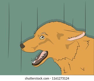 portrait of fox, vector, on green background, looking up