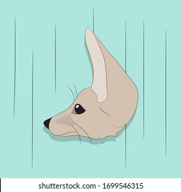 portrait of fox, vector, on green background, looking up