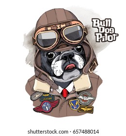 Portrait of the French Bulldog in a Aviator Helmet and Leather Jacket with a Sewing Embroidery Patch. Vector illustration.