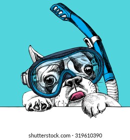 Portrait of a French Bulldog in diving mask with tube on blue background. Vector illustration.