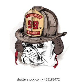 Portrait of a French Bulldog in Firefighter retro helmet. Vector illustration.