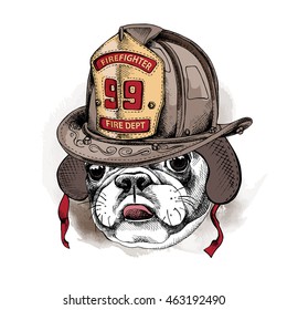 Portrait of a French Bulldog in Firefighter retro helmet. Vector illustration.