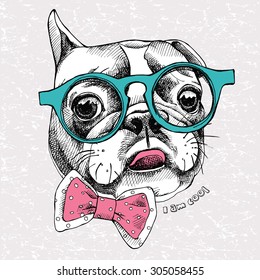 Portrait of a French Bulldog with glasses and tie. Vector illustration.