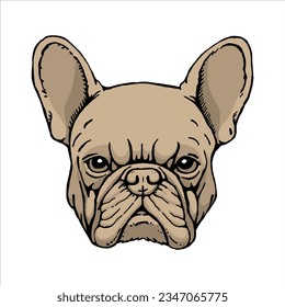 Portrait of French Bulldog. Hand-drawn illustration. Vector