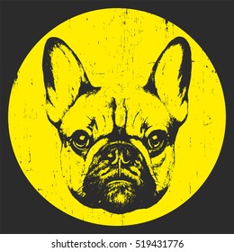 Retrato de French Bulldog. Ilustración hecha a mano.  Diseño de camisetas. Vector