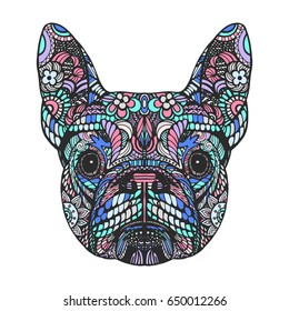 Portrait of French Bulldog. Hand-drawn illustration. T-shirt design. Vector