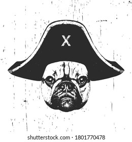 Portrait of French Bulldog with pirate hat. Vector. 