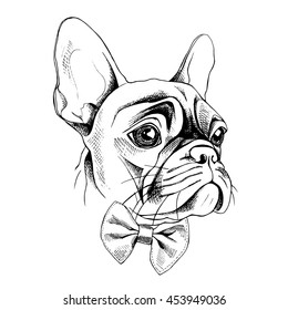 Portrait of French Bulldog in profile with a tie. Vector illustration.