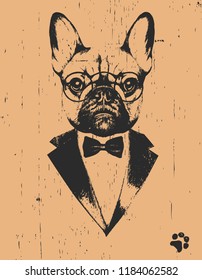 Portrait of French Bulldog in suit, hand-drawn illustration, vector