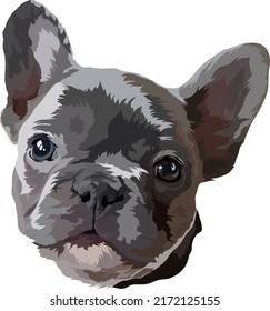 Portrait of a French Bulldog. Vector illustration