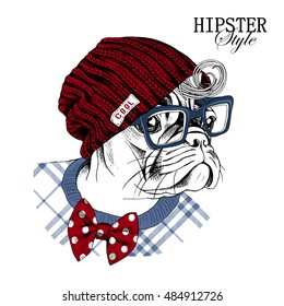 Portrait of a French Bulldog wearing a checkered cardigan, a hipster knitted vinous hat, a polka-dot tie and  with glasses. Vector illustration.