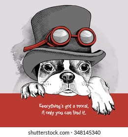 Portrait of a French Bulldog wearing steampunk top hat with glasses. Vector illustration.