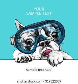 Portrait of a French Bulldogs in a diving mask on blue background. Vector illustration.