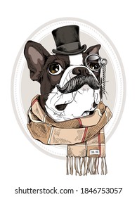 Portrait of the funny Boston Terrier dog with a mustache in the gentleman top hat, checkered scarf and with monocle. Humor card, t-shirt composition, hand drawn style print. Vector illustration.