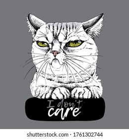 Portrait of the funny cat. I don't care – lettering quote. Humor card, t-shirt composition, meme, hand drawn style print. Vector illustration.