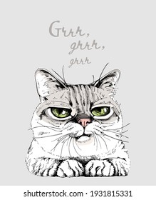 Portrait of the funny cat. Humor card, t-shirt composition, meme, hand drawn style print. Vector illustration.