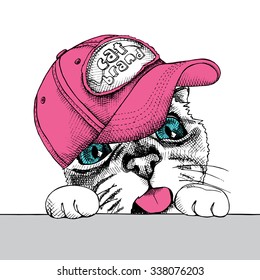 Portrait of a funny cat in pink cap. Vector illustration.