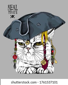 Portrait of the funny cat in the Pirate tricorn hat with a dreadlocks. Humor card, t-shirt composition, meme, hand drawn style print. Vector illustration.