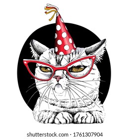 Portrait of the funny cat in the red glasses and in the polka dot party hat. Humor card, t-shirt composition, meme, hand drawn style print. Vector illustration.