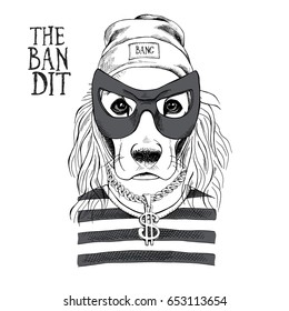 Portrait of a funny Cocker  Spaniel in a Bandit mask, Knitted Cap, striped black and white t-shirt with dollar pendant . Vector illustration.